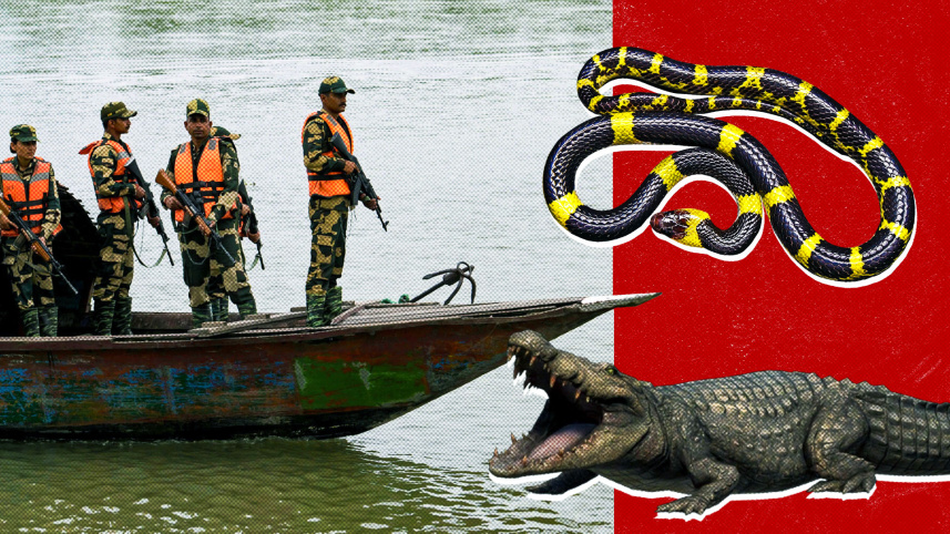 অনুপ্রবেশ ঠেকাতে সীমান্তের নদীতে সাপ-কুমির ছাড়ার কথা ভাবছে ভারত