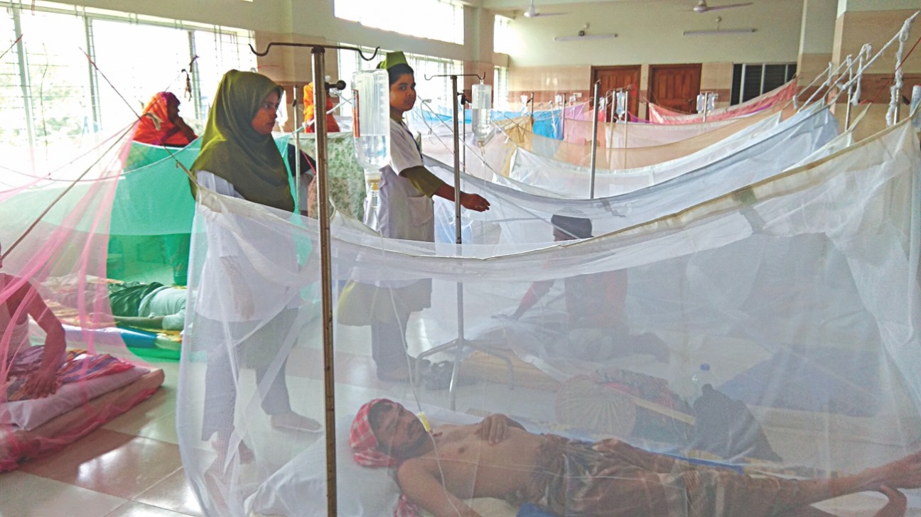 ডেঙ্গু: ২৪ ঘণ্টায় ২ জনের মৃত্যু, হাসপাতালে ৫১ জন