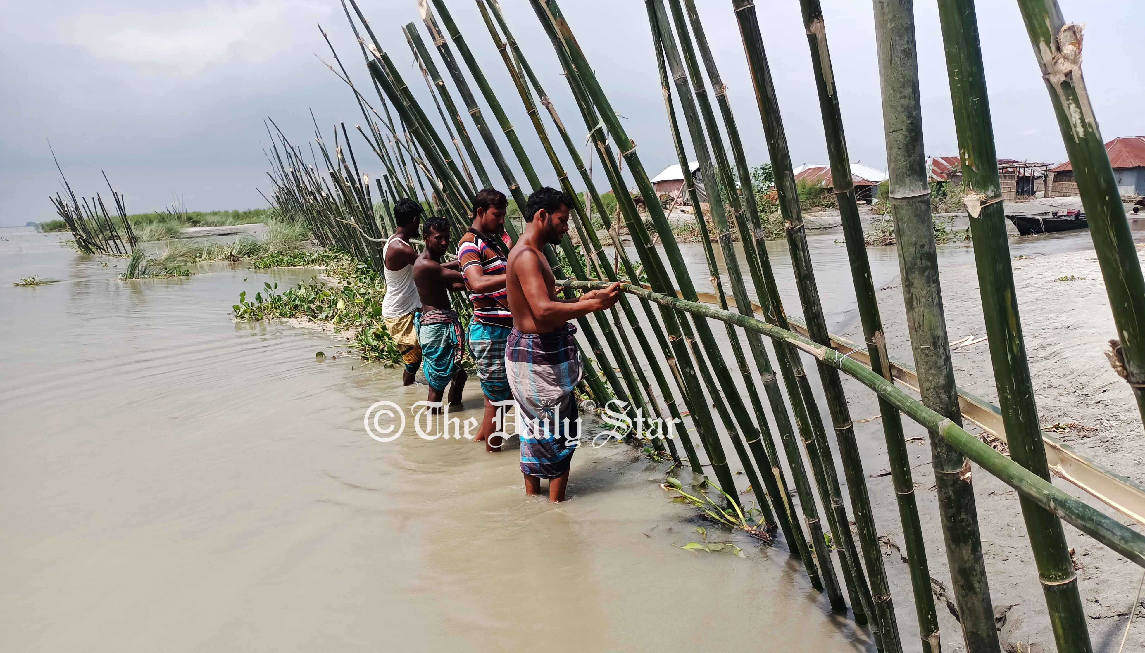 ব্রহ্মপুত্রের স্রোত ঠেকাতে গ্রামবাসীর টাকায় বাঁশের পাইলিং
