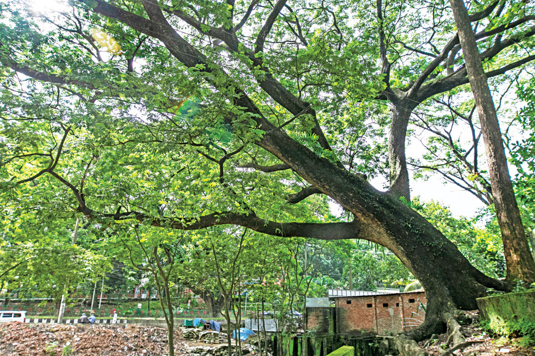 সিআরবিতে হাসপাতাল না করার পক্ষে সংসদীয় কমিটি
