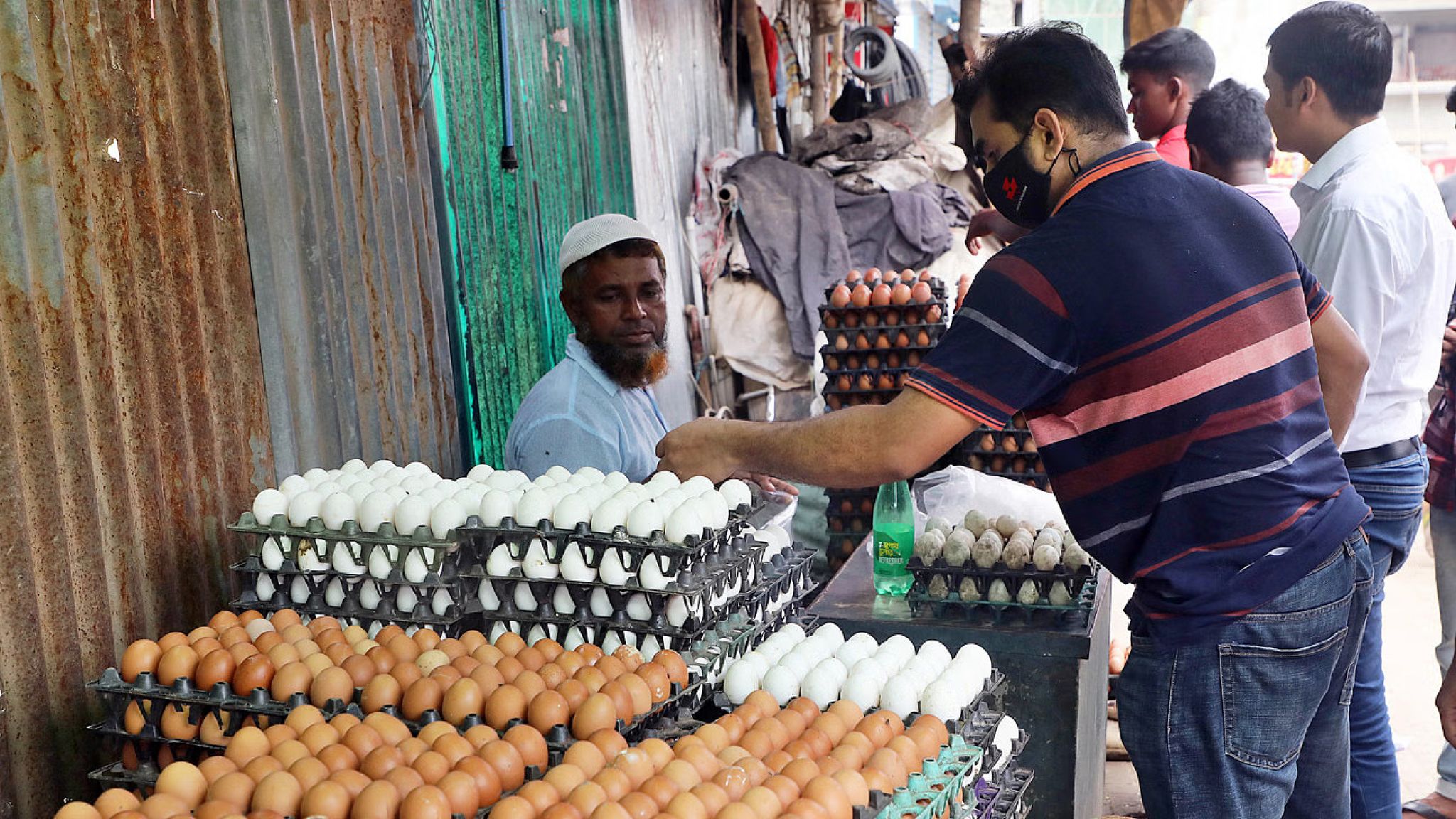 মুরগি-ডিমের দাম এখন সমানে সমান