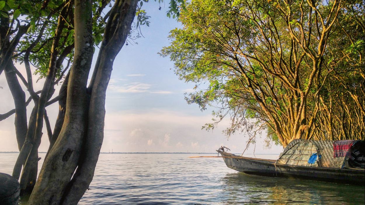 অ্যাডভেঞ্চারপ্রেমীরা ঘুরে আসুন দেশের এই ৫ বন