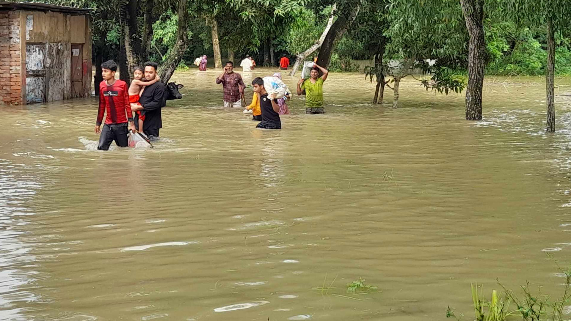 গোমতী নদীর বাঁধ ভেঙে বুড়িচংয়ে ৭০ গ্রাম প্লাবিত, উদ্ধারে প্রয়োজন সহায়তা