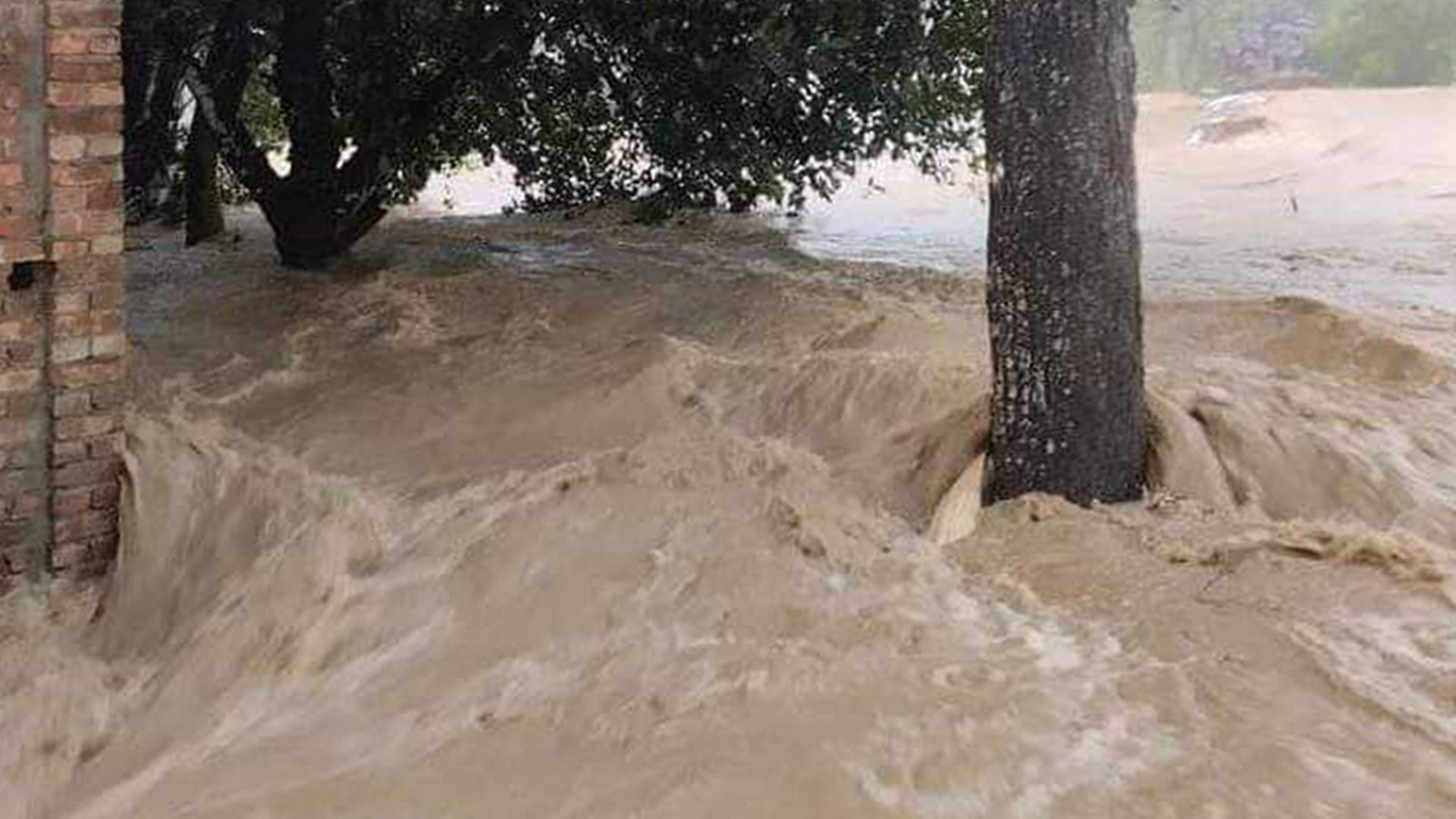 পাহাড়ি ঢলে ভেঙে গেছে বাঁধ, শেরপুরে শতাধিক গ্রাম প্লাবিত