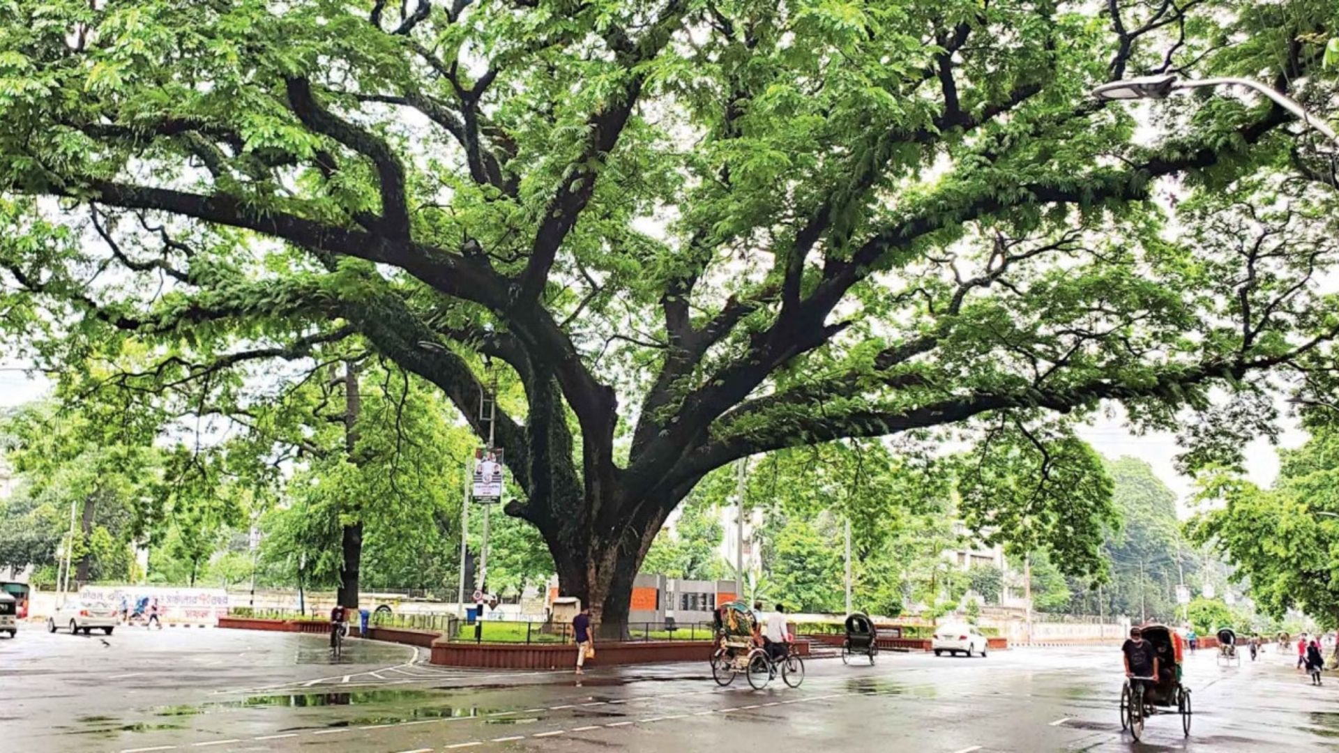 ফিরে দেখা ক্যাম্পাসের দিনগুলো