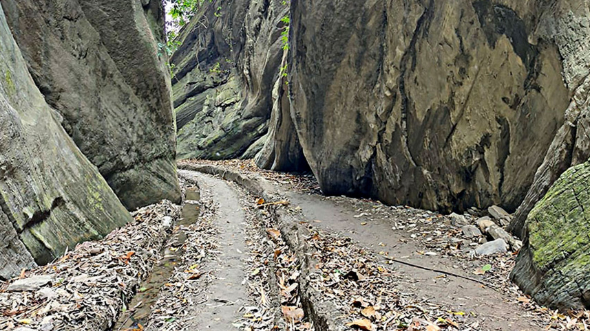 ঝিরি
