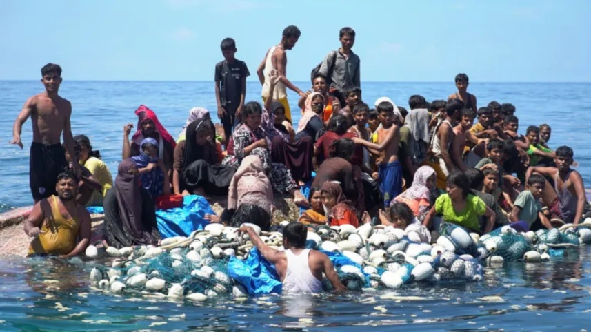 Rohingya