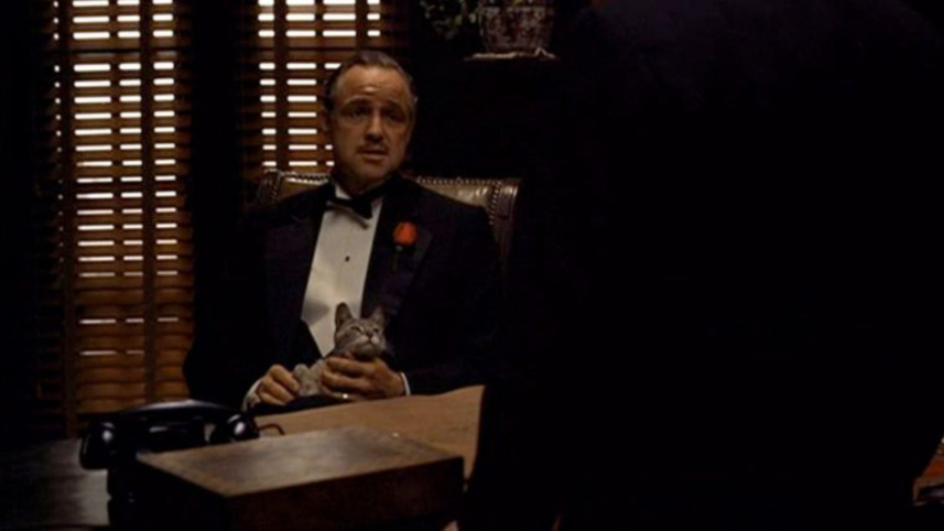 The Godfather