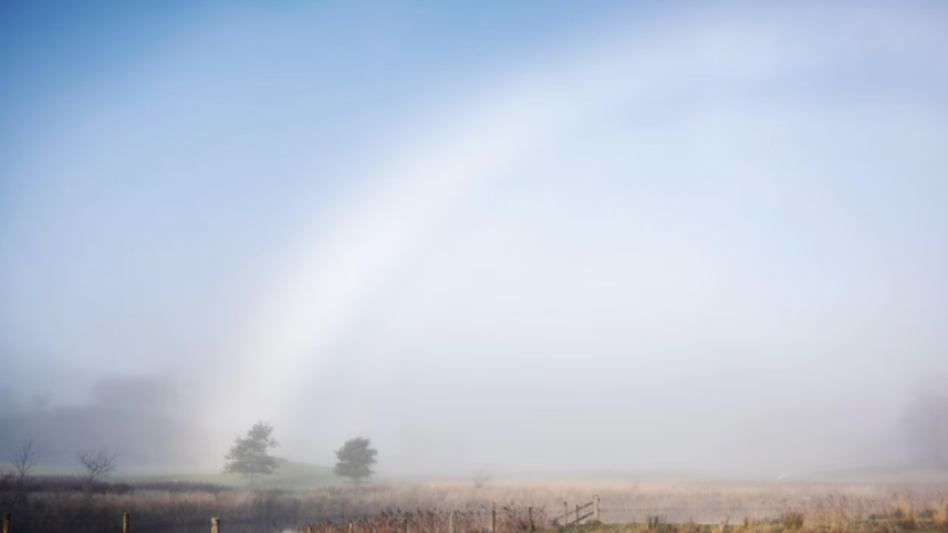 White rainbows.