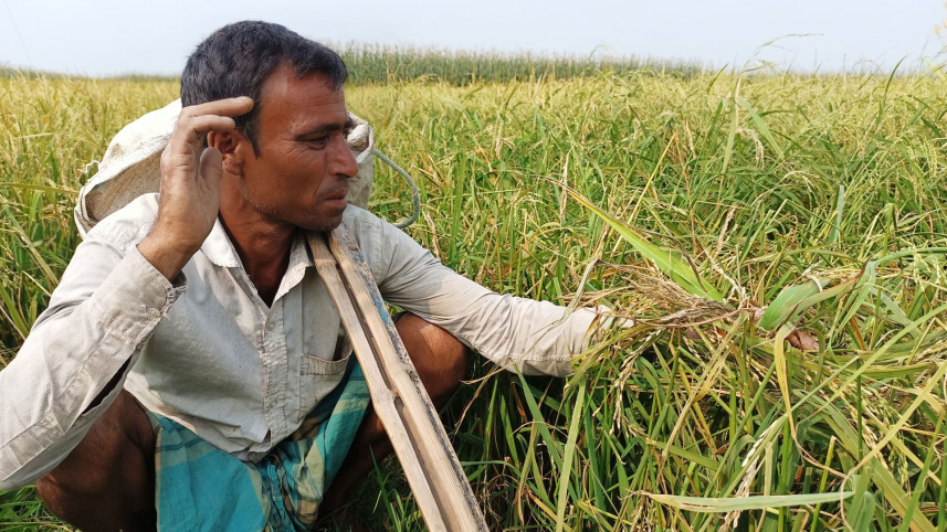 farmers