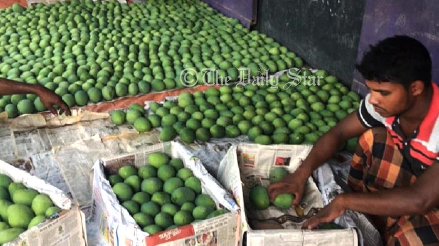 আম ১.jpg