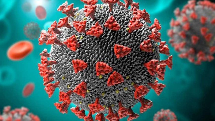 coronavirus-logo_0_0.jpg