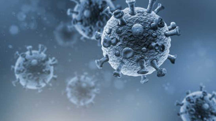 Coronavirus_Collected.jpg