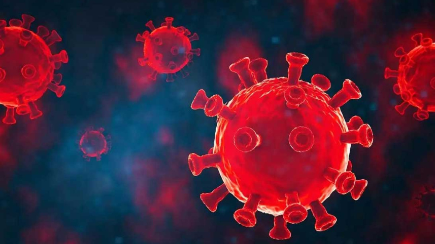 Coronavirus