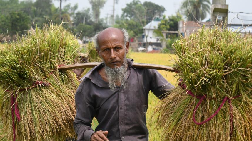 Farmers