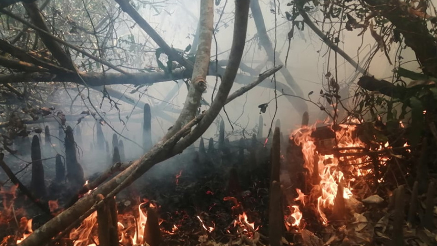 FIRE.jpg
