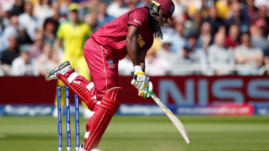 gayle.jpg