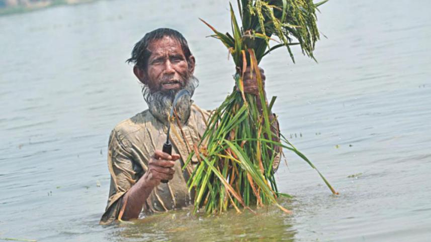haor disaster