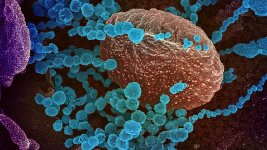health-coronavirus-usa_reuters.jpg