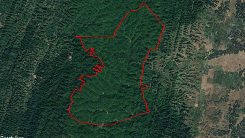 Reserve Forest.jpg
