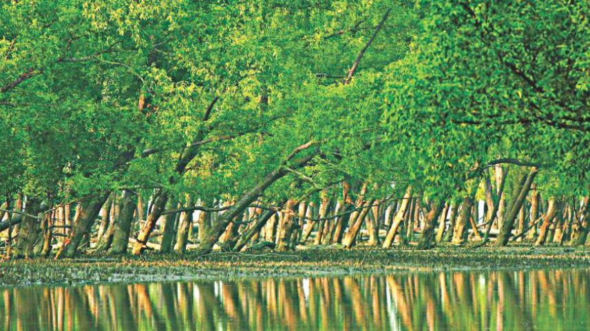 সুন্দরবন