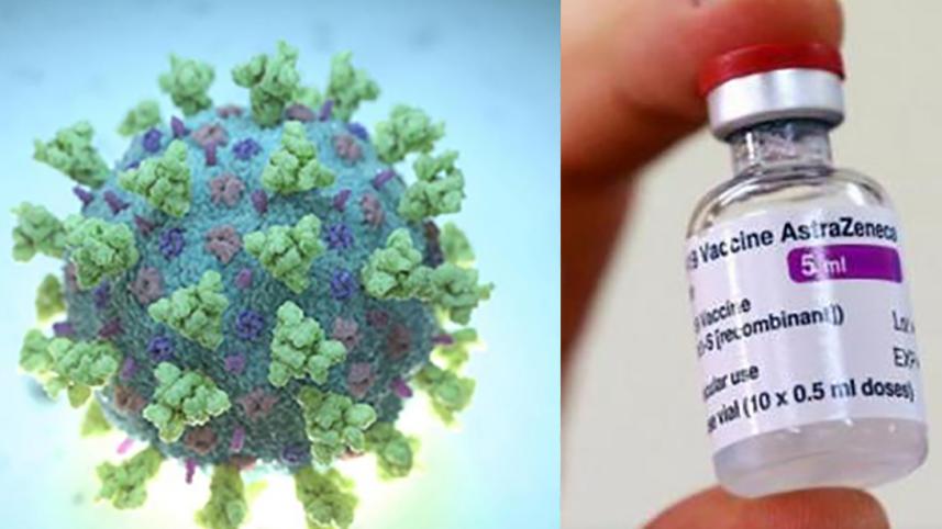 vaccine_12.jpg