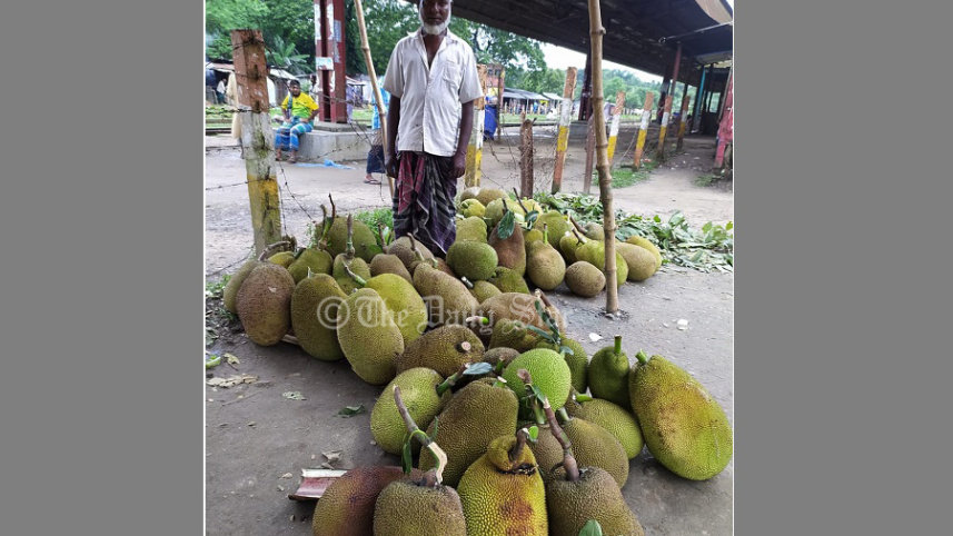 gaajiipur_kaantthaal.jpg
