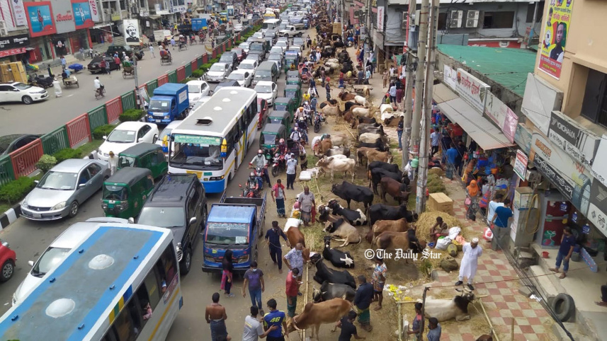 cow_haat5.jpg