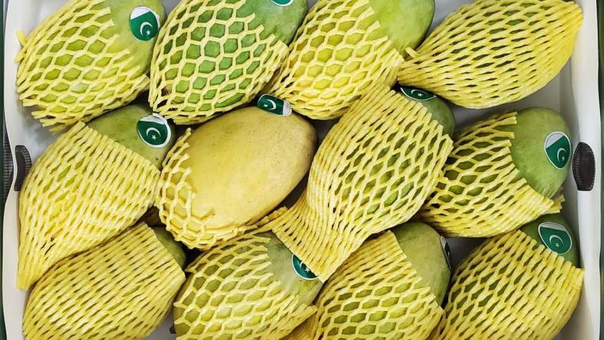 mango.jpg