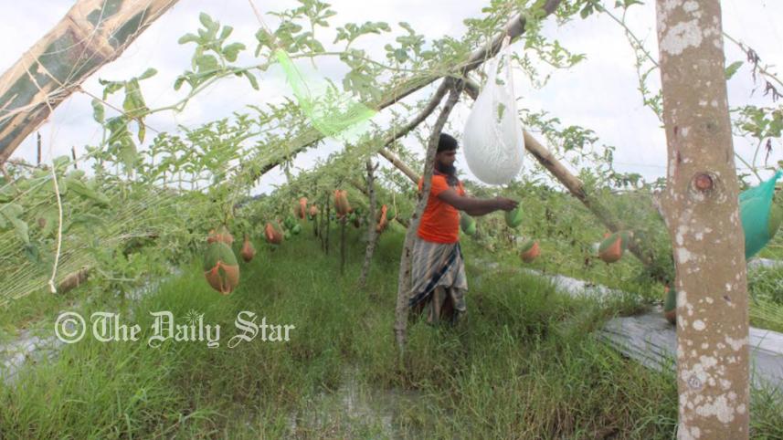 patuakhali4.jpg