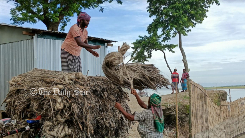 jute2.jpg