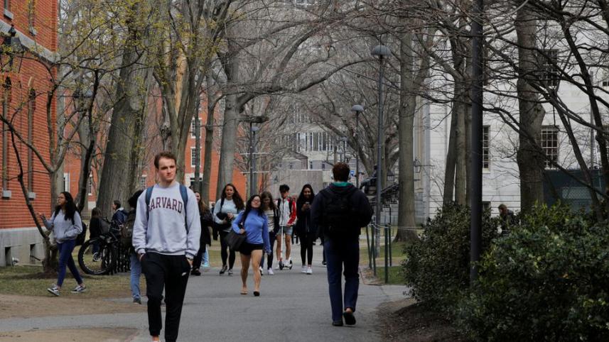 harvard.jpg