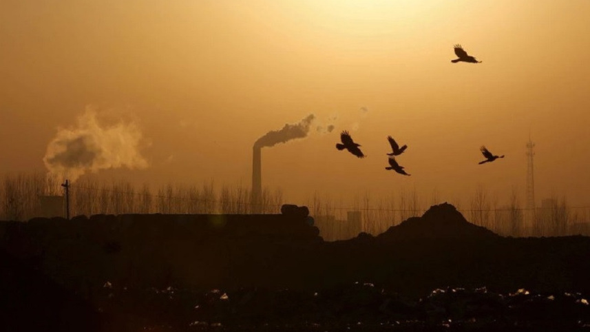 carbon_emission_222.jpg