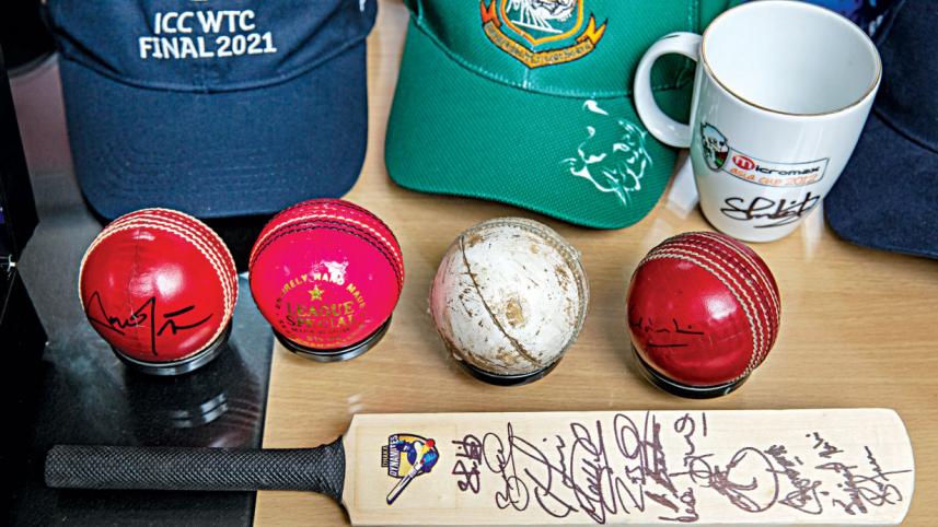 cricket1.jpg