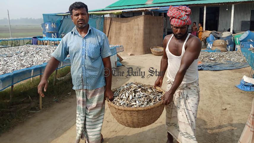 pabna_photo_4.jpg