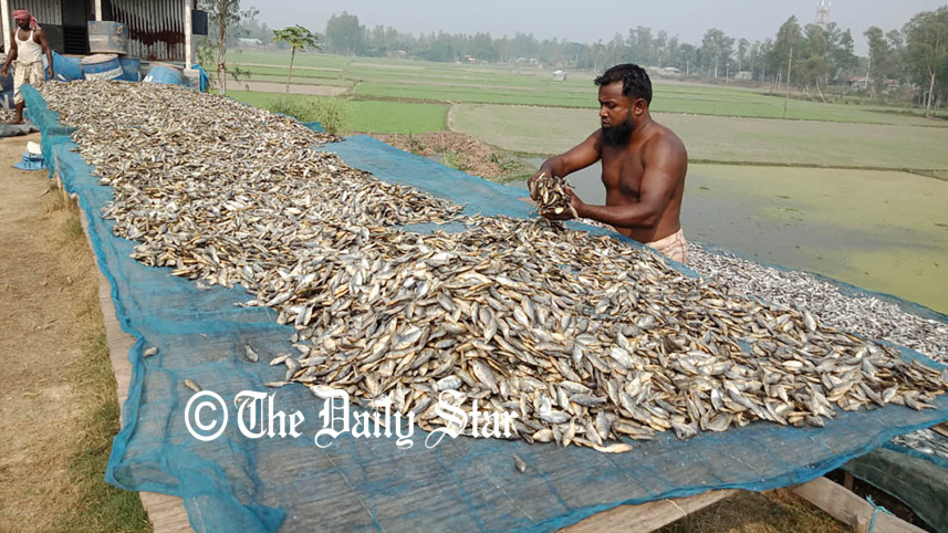 pabna_photo_5.jpg