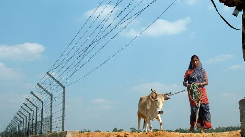 Cattle Trading