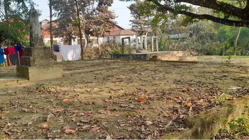 sylhet_photo_more_genoide_in_tea_garden_8.jpg