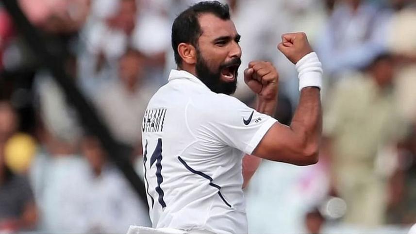 shami.jpg
