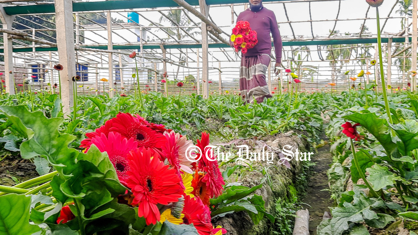 godkhali_flower-1.jpg