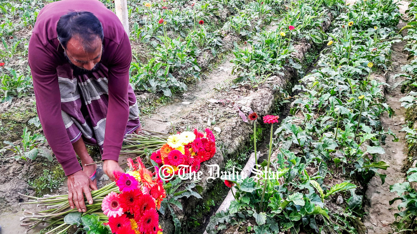 godkhali_flower-3.jpg