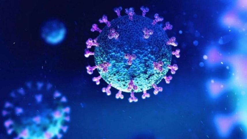 coronavirus-2_1.jpg