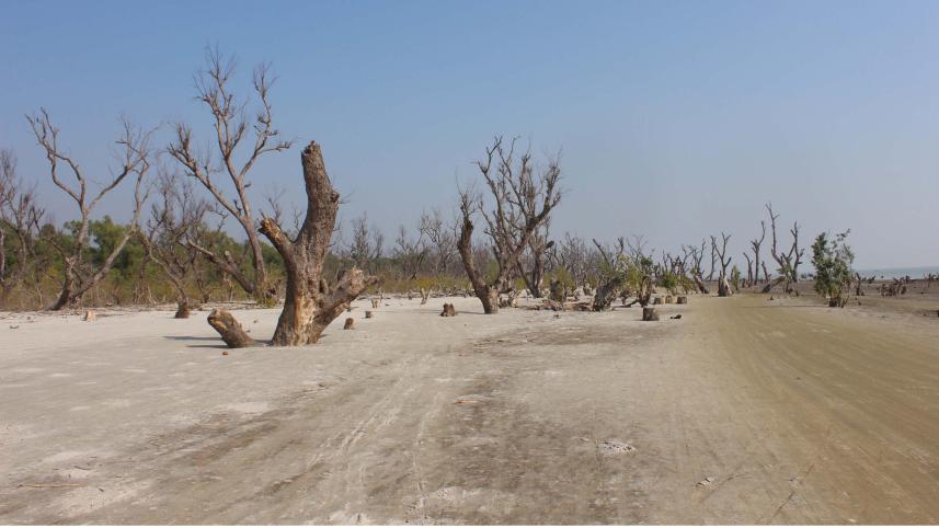 patuakhali_pic-_14_10.01.22.jpg