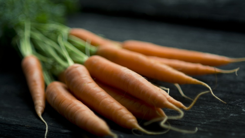 carrot