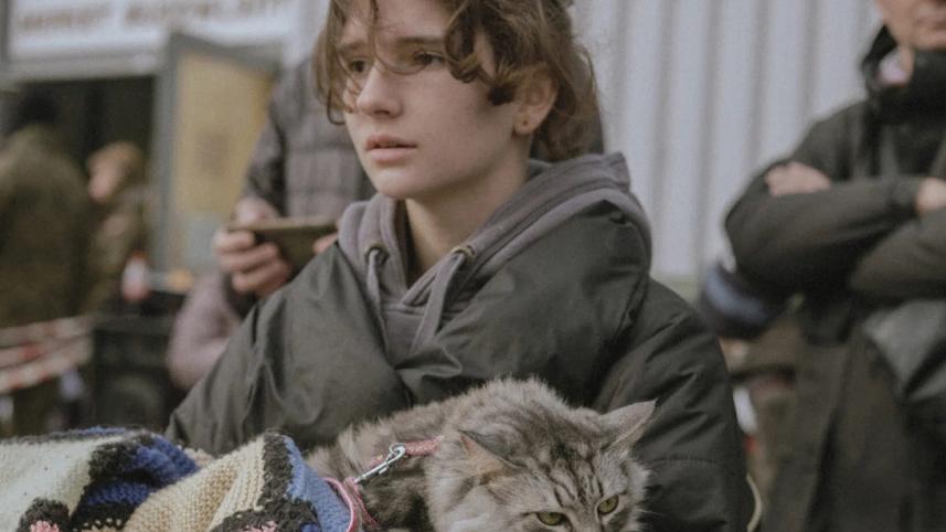 ismail-ferdous-ukraine-girl-cat.jpg