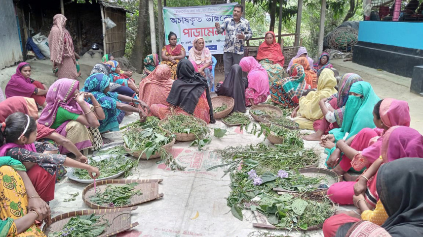 manikganj_uncultivatedplants-1.jpg
