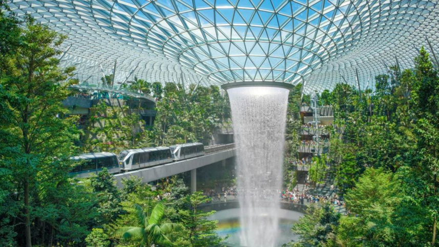 airport-rainforest-1140x630_0.jpg