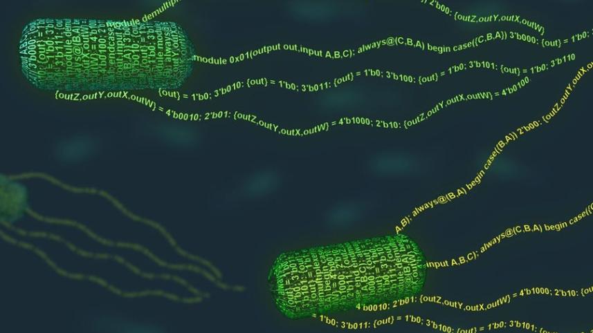 mit-program-bacteria_0.jpg