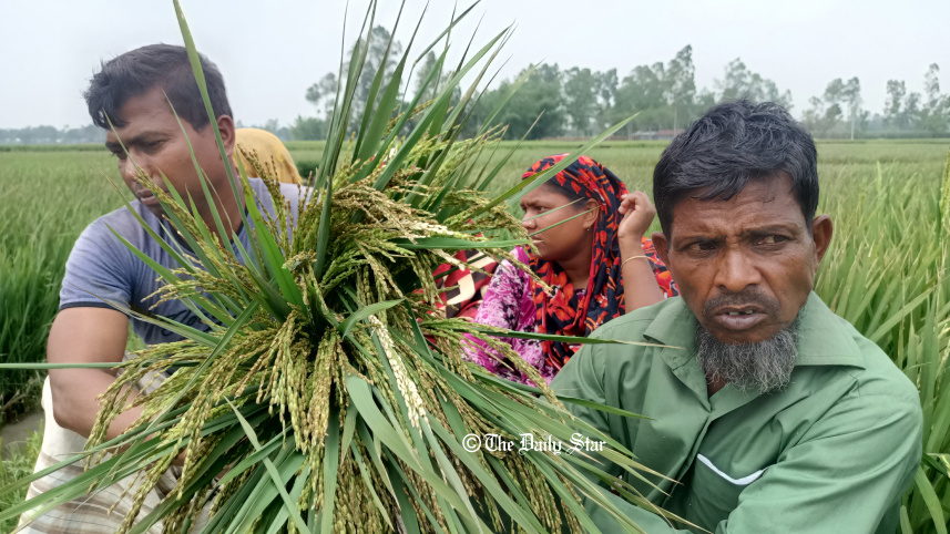 lalmonirhat.jpg