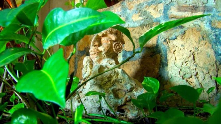 maya-aluxes.jpg